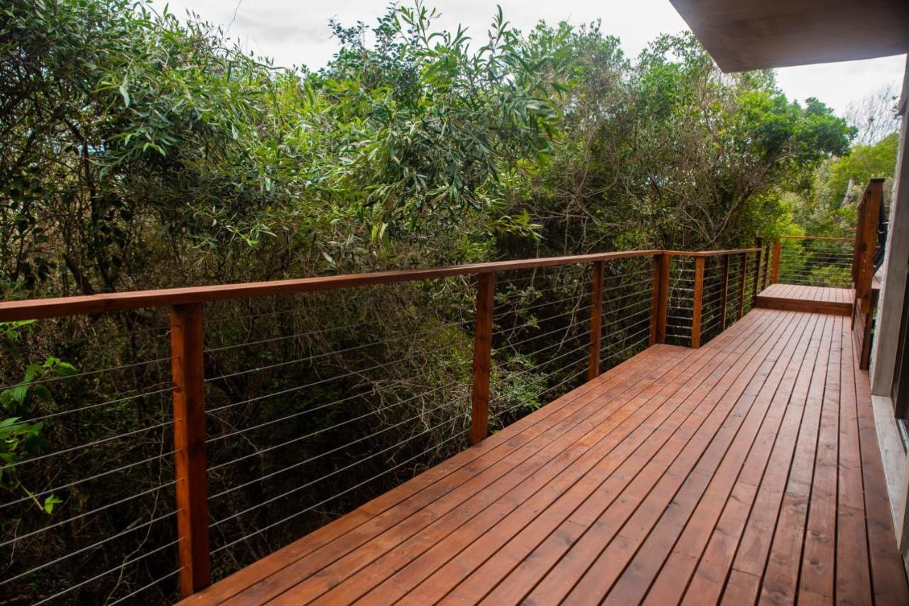 Forest Hill Wildernis Dış mekan fotoğraf