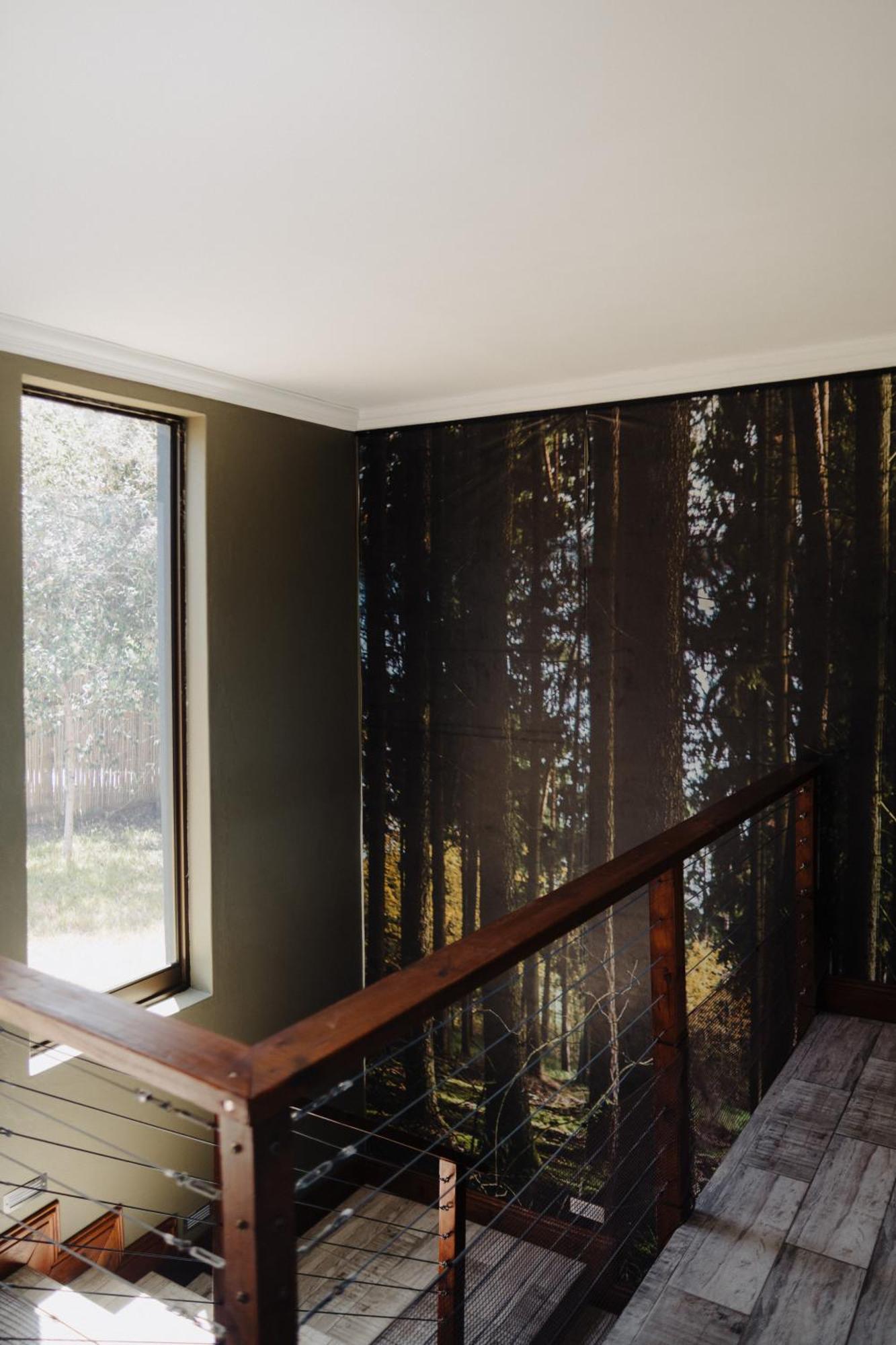 Forest Hill Wildernis Dış mekan fotoğraf